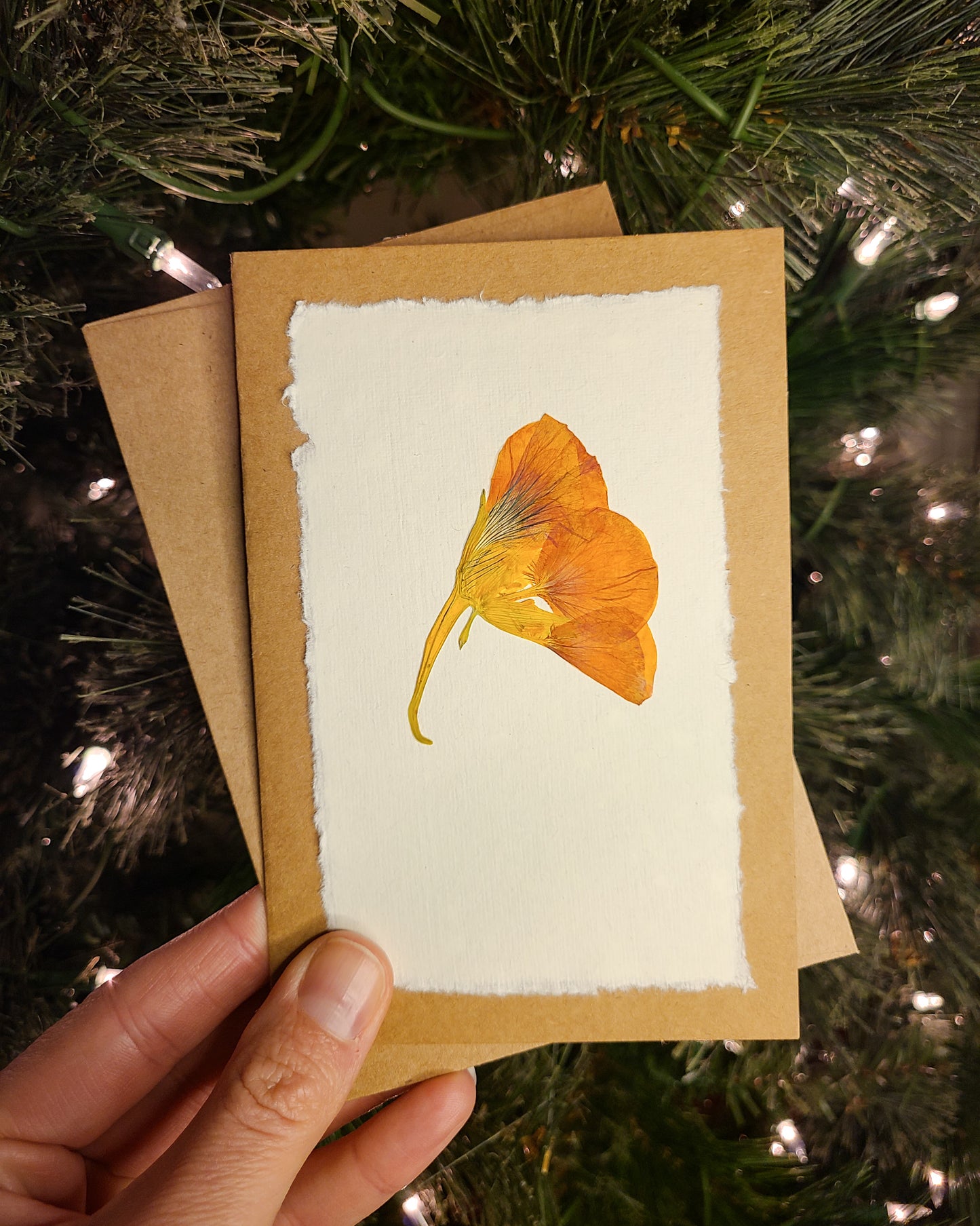 Pressed Flower Greeting Card