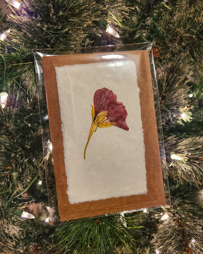 Pressed Flower Greeting Card