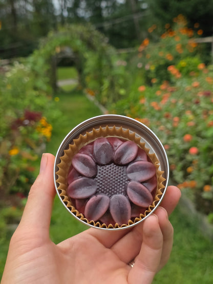 Herbal-Infused Nourishing Lotion Bar - Lilac & Geranium, 2oz